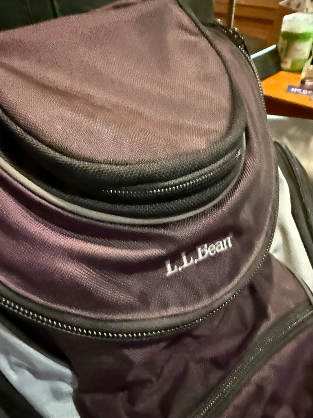 L.L. Bean roomy pack
